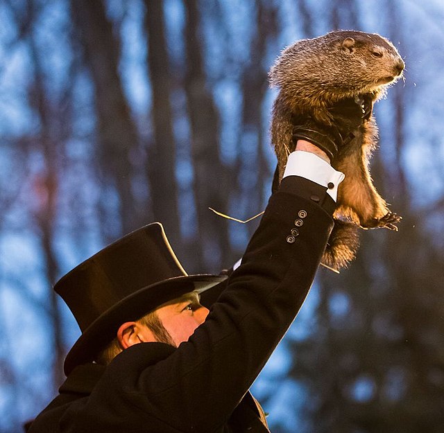 Spring or snow? Groundhogs split on forecast